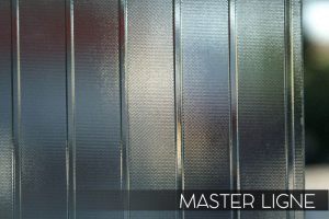 master_ligne